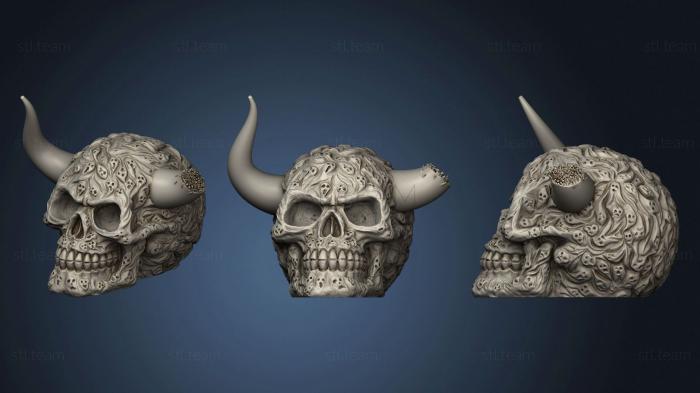 3D model Cranio	 (STL)